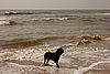DSC04486.JPG
