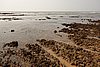 DSC04487.JPG