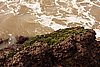 DSC04494.JPG