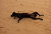 DSC04505.JPG