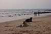 DSC04508.JPG