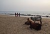 DSC04509.JPG