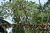 DSC04516.JPG