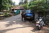 DSC04522.JPG