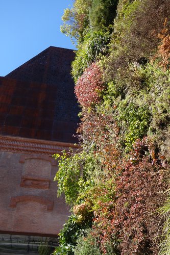 DSC02564.JPG