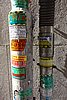 DSC02515.JPG