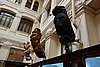 DSC02540.JPG