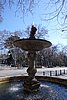 DSC02555.JPG