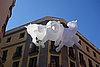DSC02556.JPG