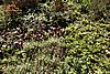 DSC02563.JPG