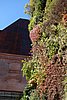 DSC02564.JPG