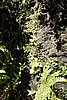 DSC02566.JPG