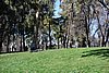 DSC02571.JPG