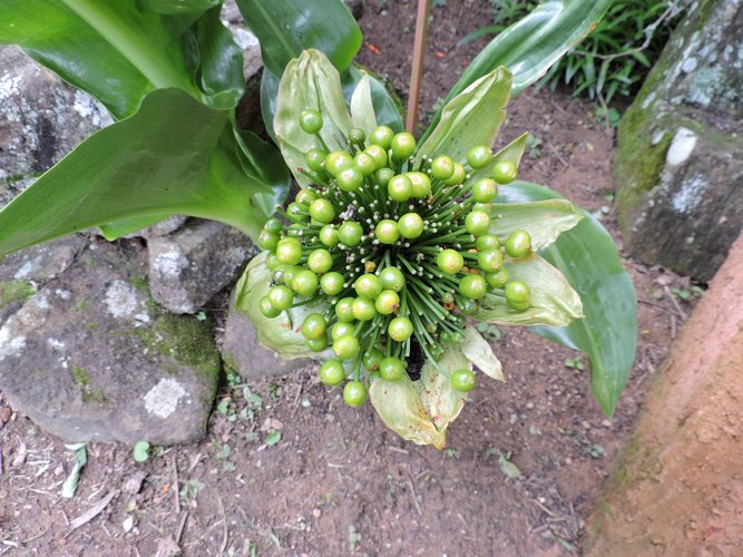DSCN0211.JPG