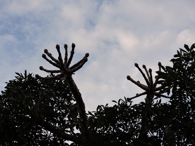 DSCN0214.JPG