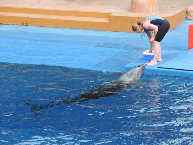 DSCN0411.JPG