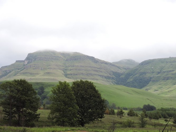 DSCN0437.JPG