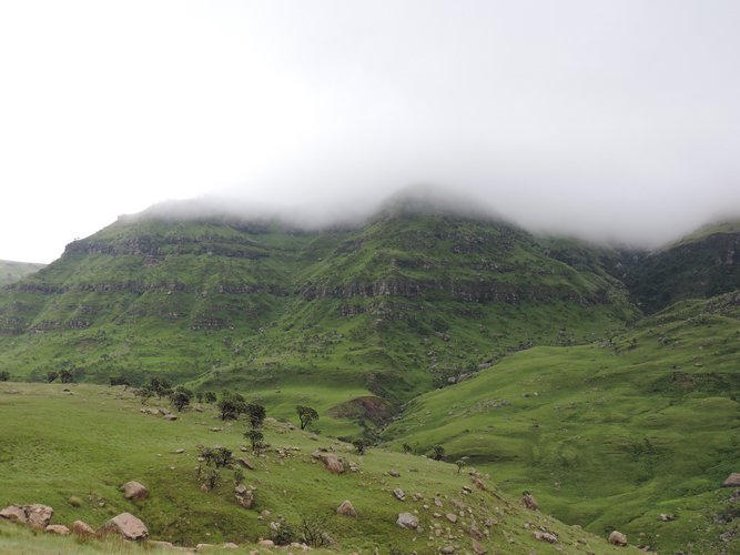 DSCN0454.JPG