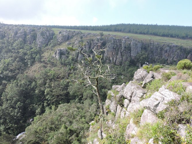 DSCN0917.JPG