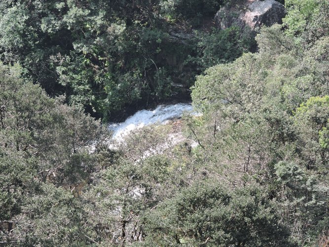 DSCN0929.JPG