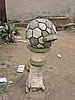 DSCN0111.JPG