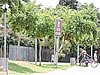 DSCN0119.JPG