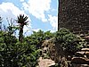 DSCN0136.JPG