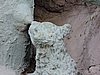 DSCN0145.JPG