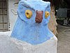 DSCN0146.JPG