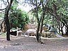 DSCN0152.JPG
