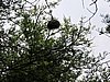 DSCN0159.JPG
