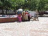 DSCN0175.JPG