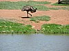DSCN0201.JPG