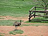 DSCN0202.JPG
