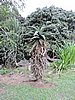 DSCN0210.JPG
