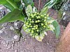 DSCN0211.JPG