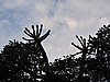 DSCN0214.JPG
