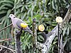 DSCN0217.JPG