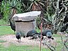 DSCN0224.JPG