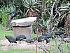 DSCN0227.JPG
