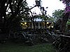 DSCN0228.JPG