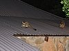 DSCN0240.JPG