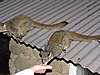 DSCN0245.JPG