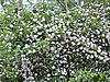 DSCN0252.JPG