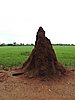 DSCN0254.JPG