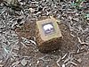 DSCN0256.JPG