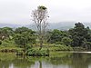 DSCN0261.JPG