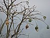 DSCN0262.JPG