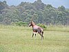 DSCN0270.JPG