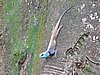 DSCN0274.JPG